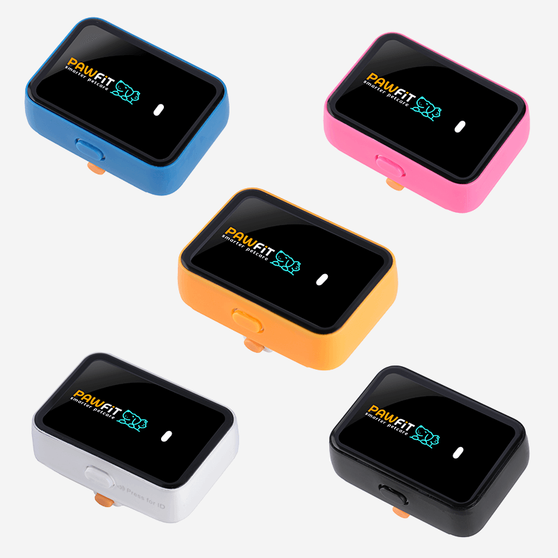 Pawfit 3 Case Clear-1869883043599224832