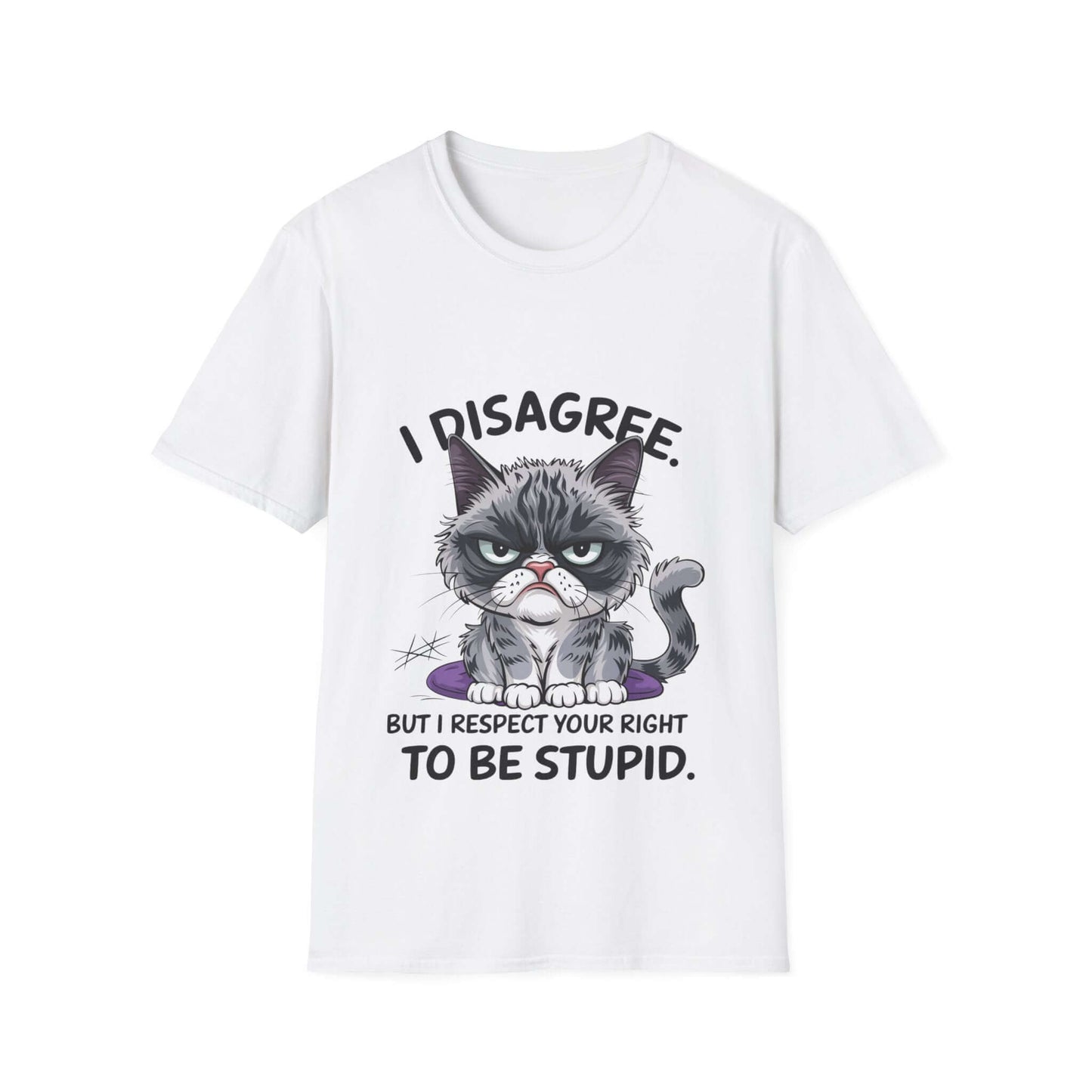 Grumpy cat graphic t-shirt with humorous quote 'I disagree but I respect your right to be stupid' in white.