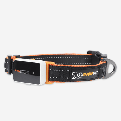Pawfit 3 Collar Xlarge-1869883042563231744