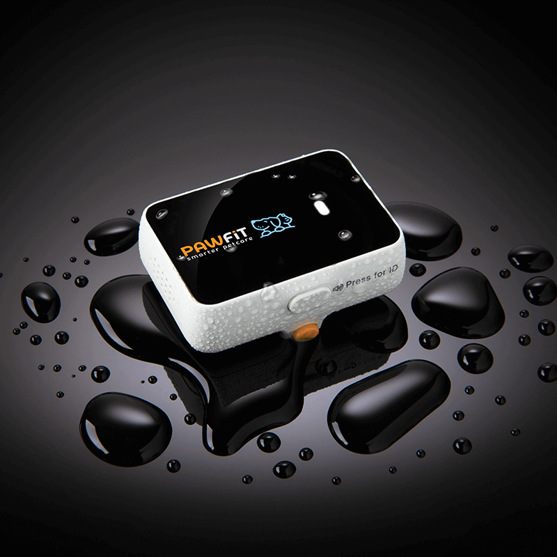 Pawfit 3 Tracker-1869883041959251969