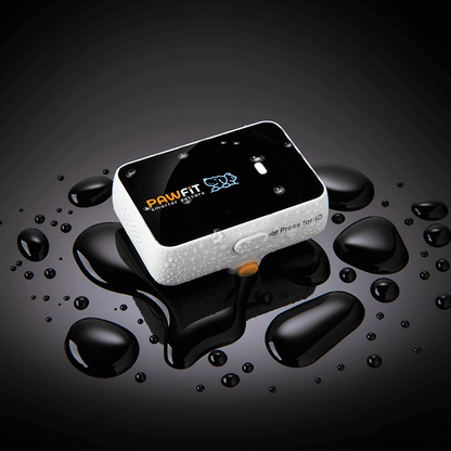 Pawfit 3 Tracker-1869883041959251969